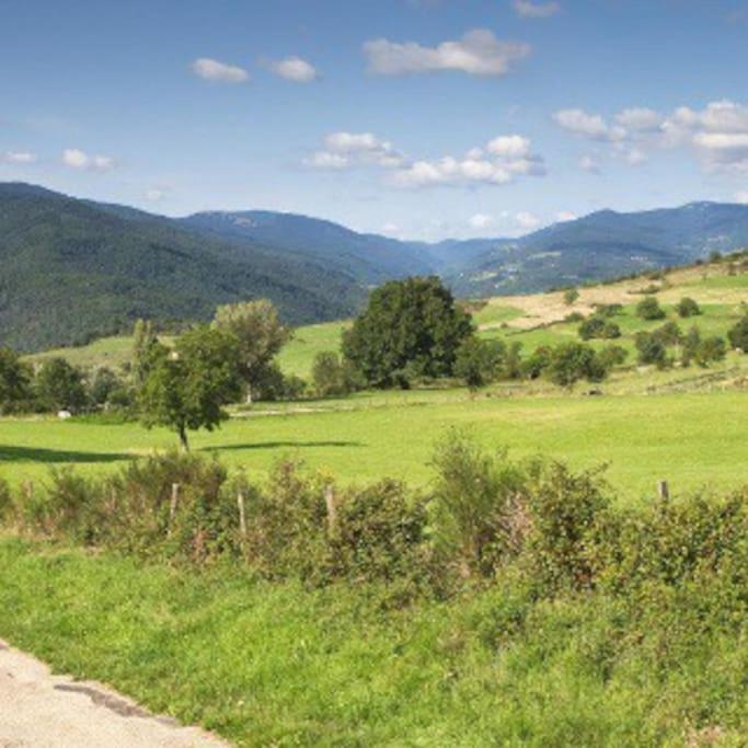 Agreable Maison De Village Avec Balcon Roiffieux Exteriör bild